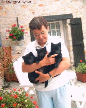 Chiots et naissances