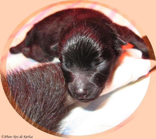 Juste apr�s ma naissance